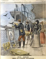 Frisläppande av fransk armé som målduvor ombord på det transatlantiska linjefartyget La Bretagne mellan Le Havre och New York