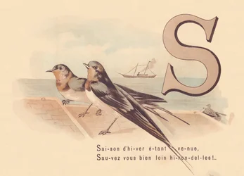 S: Vintersäsongen har kommit, Rädda dig själv långt borta svalor!