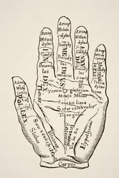 Exempel på vänster hand med linjerna och deras horoskopiska benämningar, ur "Vetenskap och litteratur under medeltiden" av Paul Lacroix, utgiven i London 1878