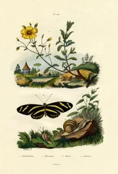 Soluppgång, 1833-39