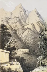 Teplantager i det gröna tedistriktet i Kina, hämtat från A Journey to the Tea Countries of China, publicerad första gången 1852, av Robert Fortune (1812-1880)