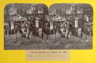 Karnevalen 1863 i Paris, den feta oxeflöten lämnar slakteriet, stereoskopisk vy, 1863