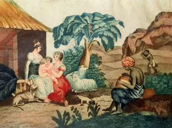 The Childhood of Paul and Virginie, från 