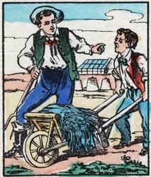 Maraichern. Gravyr i "" La chanson des metier"". Epinal avbildning, sent 1800-tal. Privat samling