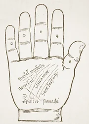 The Right Hand, Principal Lines, kopia av en illustration från Chiromantia av Ioannes ab Indagine, 1531, använd i en History of Magic, publicerad i slutet av 1800-talet