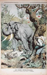 The Tragic End of an Elephant Hunt in India, illustration från Le Petit Journal, 25 november 1906