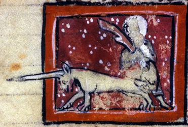 Jungfrun och enhörningen (Enhörning) - franskt bestiarium från 1300-talet. Milano, Biblioteca Trivulziana.