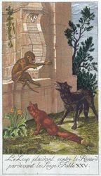 Vargen, räven och apan, från 