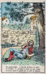 Ekollonen och pumpan. Fabler av Jean de La Fontaine (1621-95). Avbildning av Epinal från slutet av 1800-talet.