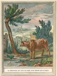 Grodan som ville vara lika tjock som kalven