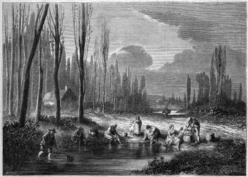 Igelfisket i närheten av Versailles