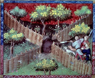 Vildsvinsjakten i miniatyr hämtad från "The book of hunting"" av Gaston III Phoebus, greve av Foix, Lord of Bearn (1331-1391)