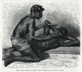 Storleken på tänderna i Okanda, ritning av D. Maillard, för att illustrera historien om en resa till Gabon och floden Ogoue 1875-1877, av Alfred Marche. Gravyr i Le tour du monde