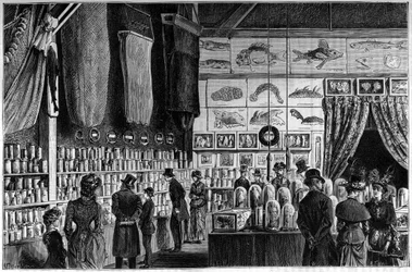 Den zoologiska utställningen på Naturhistoriska museet i Paris, samlingar samlade under de vetenskapliga expeditionerna med arbetar- och talismanskeppen