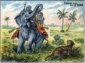 Tigerjaktsscen på ryggen av en elefant. Syllabar alfabetet av jakter Imaging av Epinal