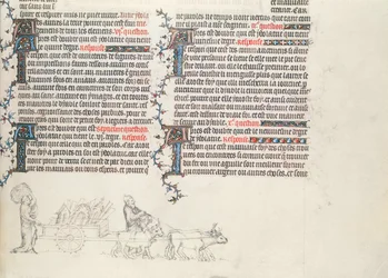 Transportera tillhörigheter i en oxdragen vagn, ofärdiga miniatyr från The Bible of Jean de Sy, ca 1355