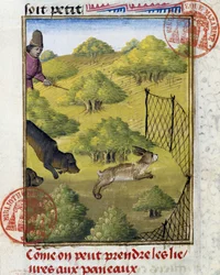 Fälla för hare och jakthundar - i "" Jaktbok av Gaston Phoebus, greve av Foix, Lord of Bearn""