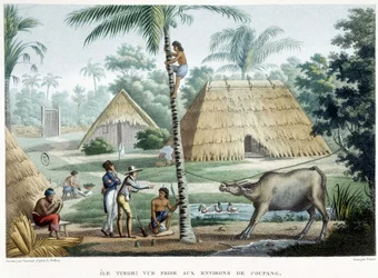 Vy tagen i närheten av Coupang, ön Timor.