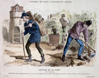Vinodling på 1400-talet - i "" Costume de Paris genom århundradena""