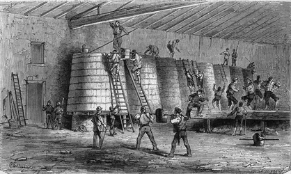 Vinodling i Medoc: krossning och placering i kar. Gravyr i ""Le Monde Illustre"" nr 561 den 11 januari 1868.