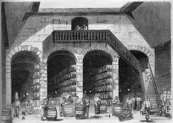 Vinodling: invändig utsikt över chaix och källare av M. Cruse et fils freres, Bordeaux, Gironde (33)