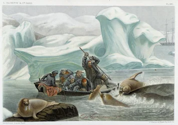 Valrossjakt - i "" Le monde de la mer "" av Alfred Fredol, Hachette, Paris