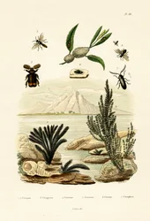 Geting, 1833-39