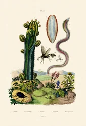 Geting, 1833-39