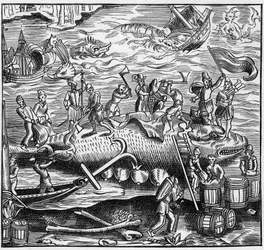 Valfiske på den franska kusten av Atlanten under medeltiden. Gravyr i "La Marine et les colonies: handel"