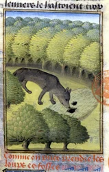 Wolf - i "" Hunting Book of Gaston Phoebus, Count of Foix, Lord of Béarn""