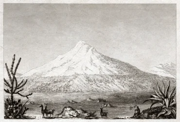 Chimborazo vulkan. (gravyr, ca 1840)