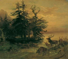 Vallande rådjur på stranden av en fjällsjö