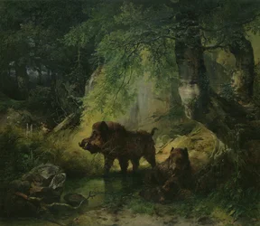 Vildsvin och varg