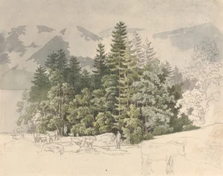 Alplandskap