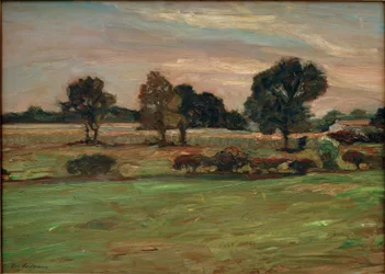 Hedlandskap