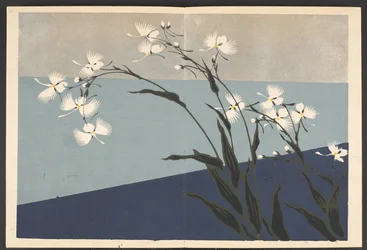 Shasei sôka môyô, Mönster av växter och blommor från livet