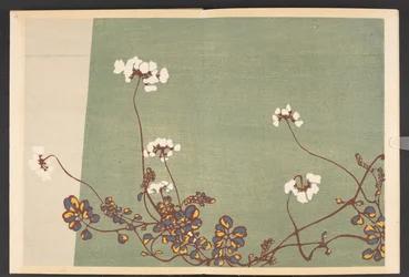 Shasei sôka môyô, Mönster av växter och blommor från livet