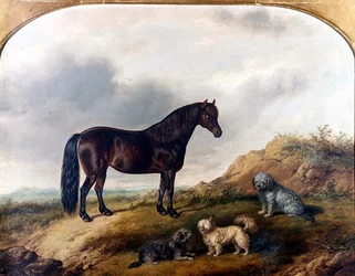 En ponny och tre terrier i ett landskap