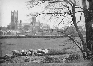Ely katedral, c1896