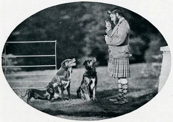 Mr. Francis Clark, The Queens Gillie, med tre av hennes favorithundar, c1899, 1901