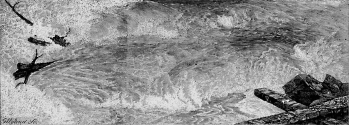 The Rapids above the Falls, c1840, 1883