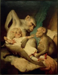 Antropologiska klasser