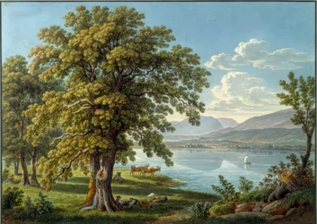 Utsikt från St. Petersinsel över Bielersee