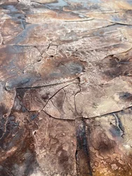 Abstrakt sprucken patina