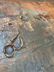 Guldtextur med antik look