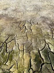 Mönster som liknar väderbiten bark