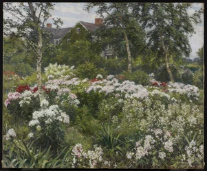 En trädgård, 1911