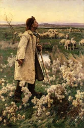 Herde, 1884.