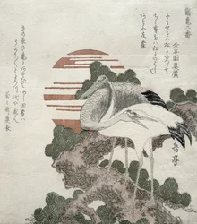 Crane (Tsuru) från serien 2 designs av Cranes and Turtles, 1818-30 (träblocksgravyr)