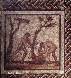 Gallo Roman Art: mosaikbeläggning som representerar en rustik kalender. Scen av halmtak. Slutet 2:a, början av 300-talet efter JC. Från Saint-Romain-en-Gal (Rhône). Saint Germain en Laye, Nationalmuseet för arkeologi